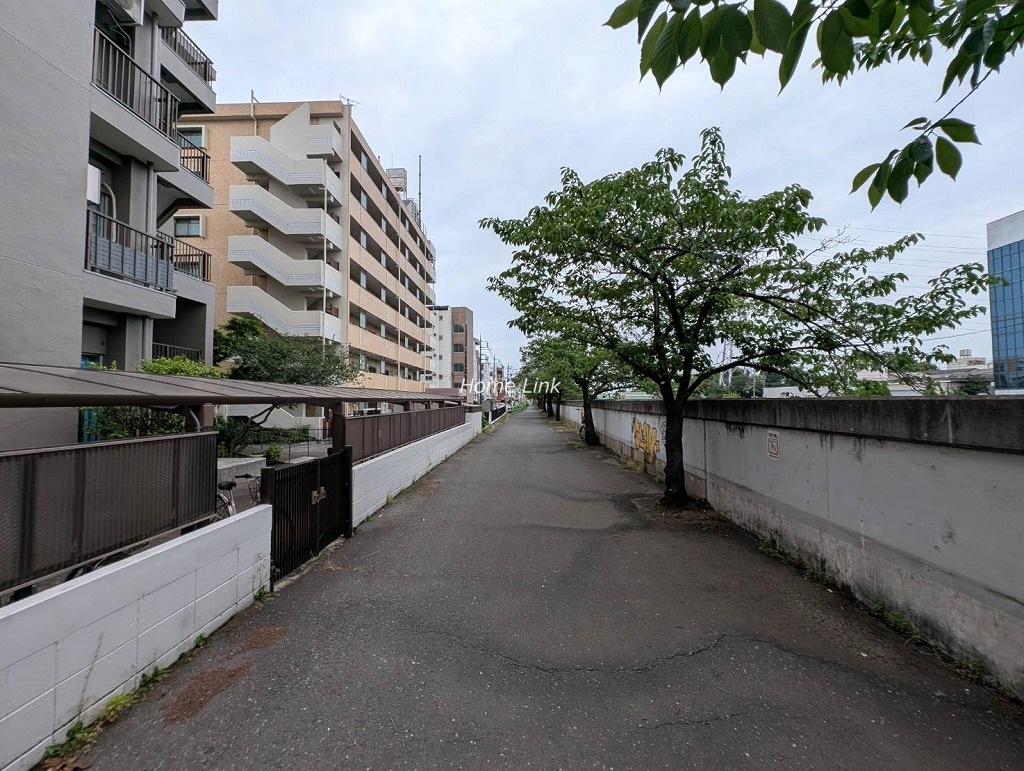 パークハイツ高島平　北側 前面道路